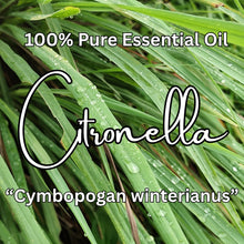 Load image into Gallery viewer, Citronella "Cymbopogon winterianus" Essential Oil