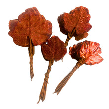 Load image into Gallery viewer, Sugar Coated Leaves Assorted Sizes. DIY