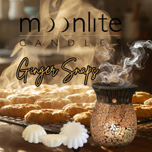 Load image into Gallery viewer, Ginger Snaps - Wax Melts