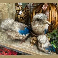 Load image into Gallery viewer, Australian Kookaburra Faux Bird Decoration Medium
