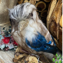 Load image into Gallery viewer, Australian Kookaburra Faux Bird Decoration Large
