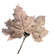 Load image into Gallery viewer, Maple Leaf. Pack 12 DIY Artificial Mocha.
