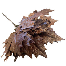Load image into Gallery viewer, Maple Leaf. Pack 12 DIY Artificial Mocha.