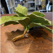 Load image into Gallery viewer, Velvet Poinsettia Flower Clip. Glittered Edge. Green. 21cm