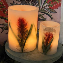Load image into Gallery viewer, Bottlebrush - Australiana Wax Lanterns