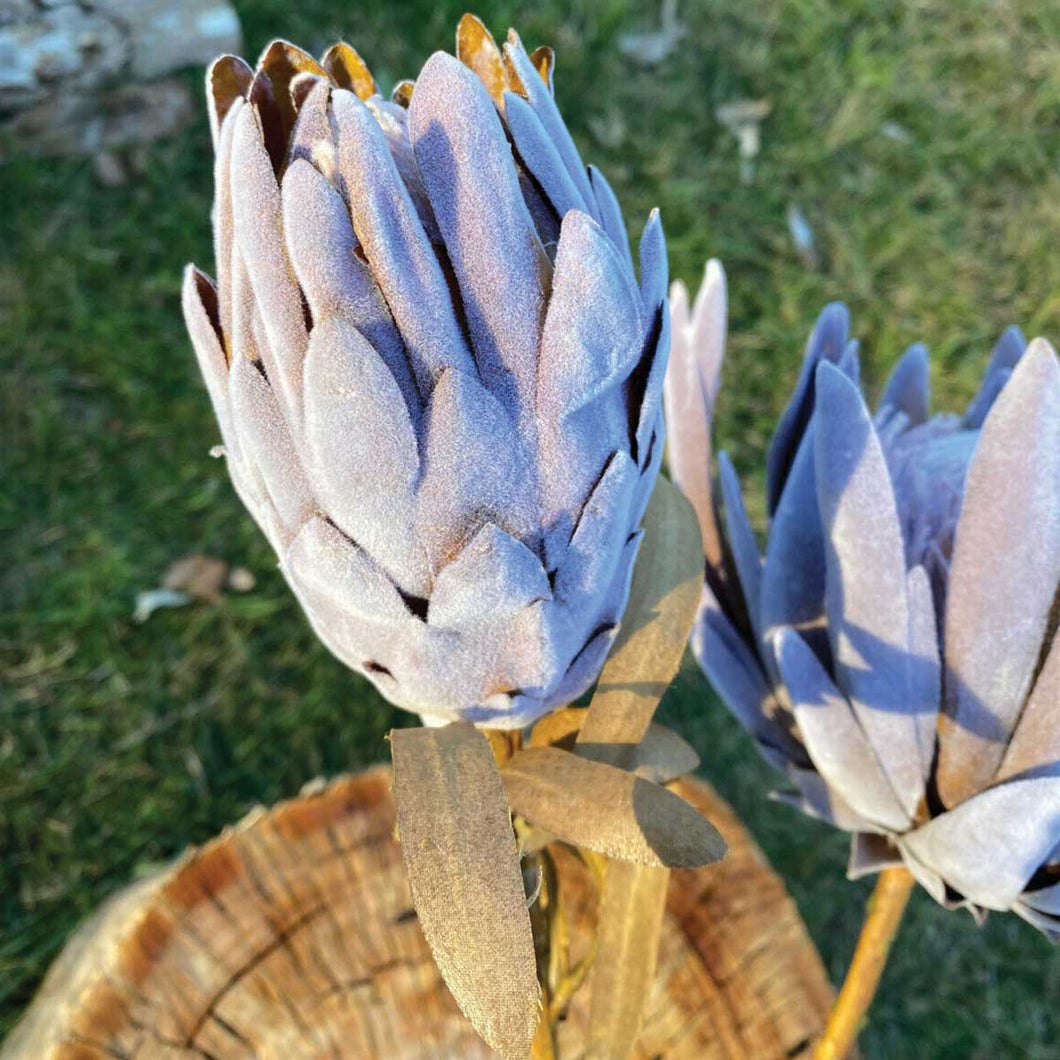 Artificial/Faux Natural Dried-Look Closed Bud Protea Stem