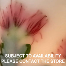 Load image into Gallery viewer, Red Flowering Gum - Australiana Wax Lanterns
