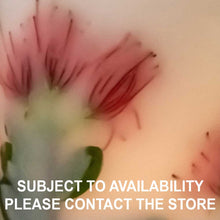 Load image into Gallery viewer, Red Flowering Gum - Australiana Wax Lanterns