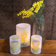 Load image into Gallery viewer, Golden Wattle - Australiana Wax Lanterns
