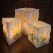 Load image into Gallery viewer, Golden Wattle - Australiana Wax Lanterns