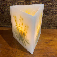 Load image into Gallery viewer, Golden Wattle - Australiana Wax Lanterns