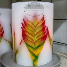 Load image into Gallery viewer, Heliconia - Island Paradise Wax Lanterns
