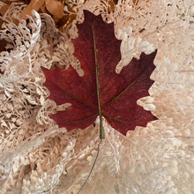 Load image into Gallery viewer, Faux Maple Leaf. Pink or Moccha. Pack 12 Leaves.DIY