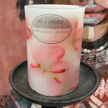 Load image into Gallery viewer, Pink Frangipani - Island Paradise Wax Lanterns