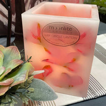 Load image into Gallery viewer, Pink Frangipani - Island Paradise Wax Lanterns