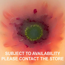 Load image into Gallery viewer, Pink Gerbera - Bohemian Rhapsody Wax Lanterns
