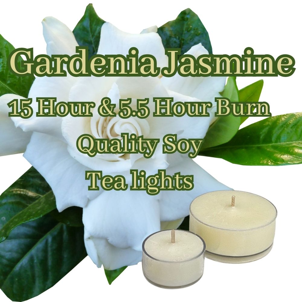 Gardenia Jasmine - Superior Soy Tea Lights