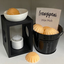 Load image into Gallery viewer, Tropical Frangipani - Wax Melts