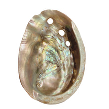 Load image into Gallery viewer, Abalone Shell. 10-12cm Polished.
