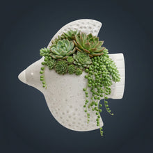Load image into Gallery viewer, Bird Wall Planter Ceramic.
