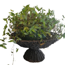 Load image into Gallery viewer, Hyacinth Rope Fruit Basket / Pot Plant Stand. Black.
