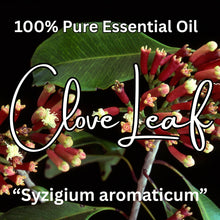 Load image into Gallery viewer, Clove Leaf &quot;Syzigium aromaticum&quot; Essential Oil

