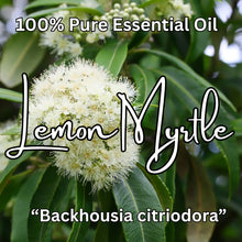 Load image into Gallery viewer, Lemon Myrtle &quot;Backhousia citriodora&quot; Essential Oil
