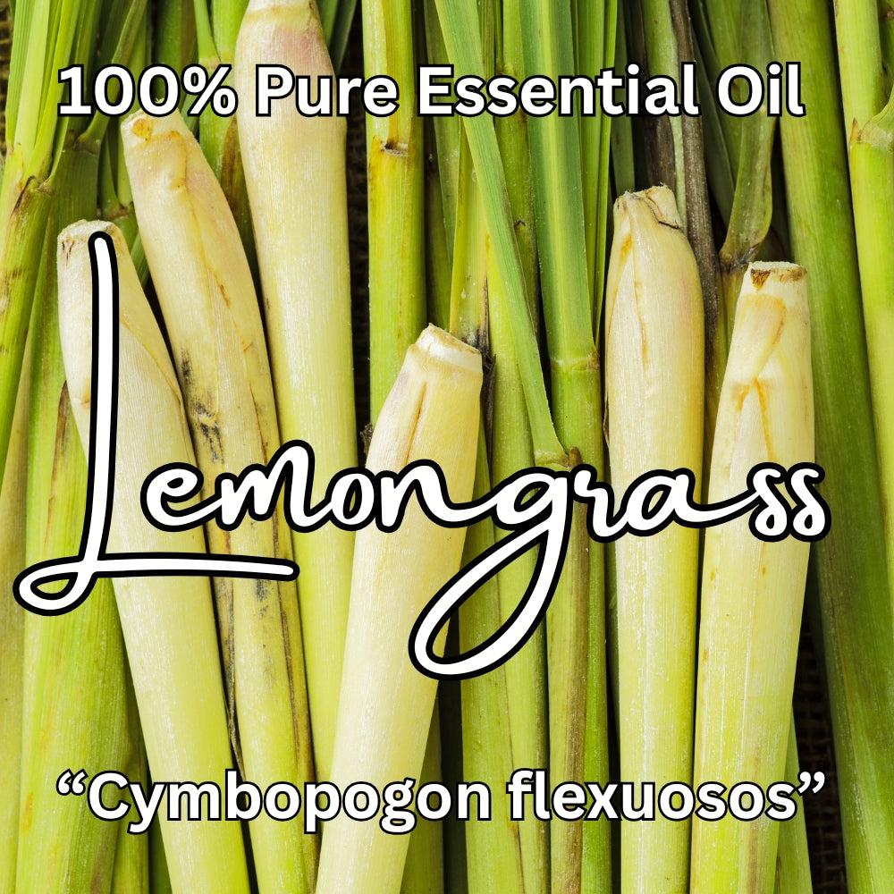 Lemongrass 