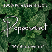 Load image into Gallery viewer, Peppermint &quot;Mentha arvensis&quot; Essential Oil
