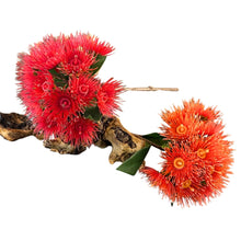 Load image into Gallery viewer, Flowering Gum Stem. Orange.32cm
