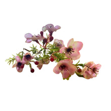 Load image into Gallery viewer, Geraldton Wax Stem. Artificial Pink. 28cm
