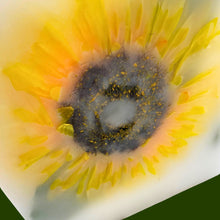 Load image into Gallery viewer, Sunflower - Wax Lanterns
