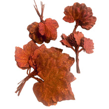 Load image into Gallery viewer, Sugar Coated Leaves Assorted Sizes. DIY
