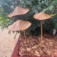 Load image into Gallery viewer, &quot;Mushrooms&quot; Rustic Garden Stakes. Set 3
