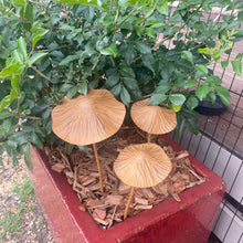 Load image into Gallery viewer, &quot;Mushrooms&quot; Rustic Garden Stakes. Set 3

