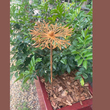 Load image into Gallery viewer, &quot;Echinacea&quot; Rustic Garden Stakes
