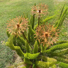 Load image into Gallery viewer, &quot;Echinacea&quot; Rustic Garden Stakes
