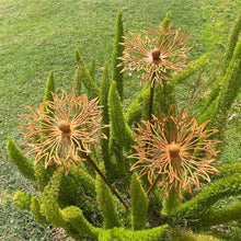 Load image into Gallery viewer, &quot;Echinacea&quot; Rustic Garden Stakes
