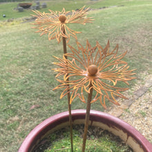Load image into Gallery viewer, &quot;Echinacea&quot; Rustic Garden Stakes
