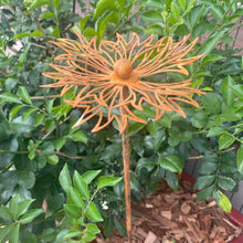Load image into Gallery viewer, &quot;Echinacea&quot; Rustic Garden Stakes
