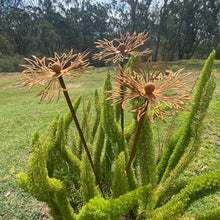 Load image into Gallery viewer, &quot;Echinacea&quot; Rustic Garden Stakes
