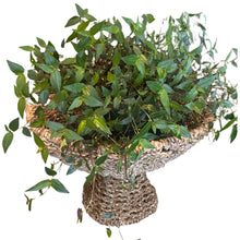 Load image into Gallery viewer, Hyacinth Rope Fruit Basket / Pot Plant Stand. Natural.
