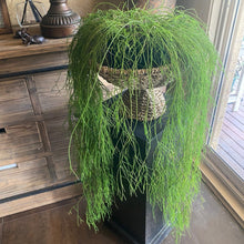 Load image into Gallery viewer, Hyacinth Rope Fruit Basket / Pot Plant Stand. Natural.
