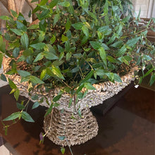 Load image into Gallery viewer, Hyacinth Rope Fruit Basket / Pot Plant Stand. Natural.
