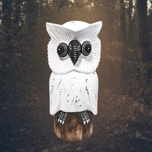 Load image into Gallery viewer, Owl. White. Wood Carved.
