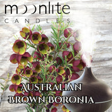 Load image into Gallery viewer, Australian Brown Boronia - Fragrant Oil
