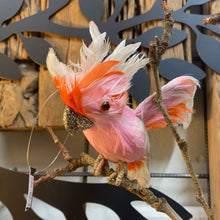 Load image into Gallery viewer, Australian Galah Sitting ,Hanging Ornament.
