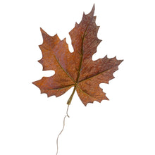 Load image into Gallery viewer, Maple Leaf. Pack 12 DIY Artificial Mocha.
