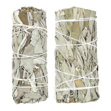 Load image into Gallery viewer, White Sage Smudge Stick - Small  Thick - Californian &quot;Salvia Alpinia&quot;

