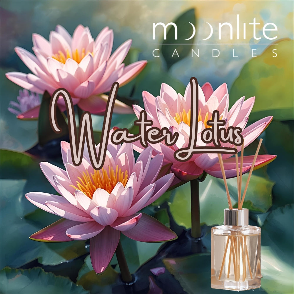 Water Lotus - Reed Diffuser Refill Fragrance 300ml Bottle + Set of Reeds